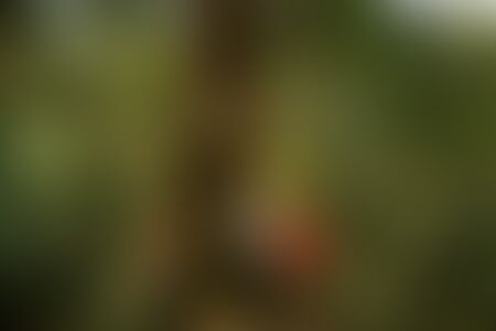 low-preview-8d89f0a0 5d0e 4dba 921d bf6bb9861f81 deoriatal chandrashila dc family trek jothiranjan april 2022 72