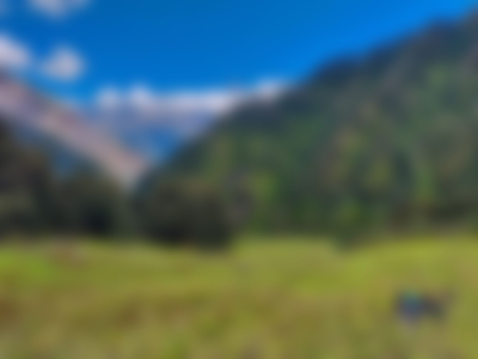 low-preview-8e7c0aaa 2c12 4b4d 8bc4 b5f1410d0f7b gidara bugyal gb nithesh indiahikes  %2827%29