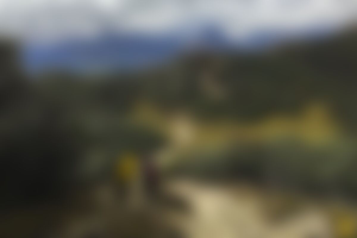 low-preview-90753 goechala indiahikes nirantharajith descending accent to dzongri 1 1