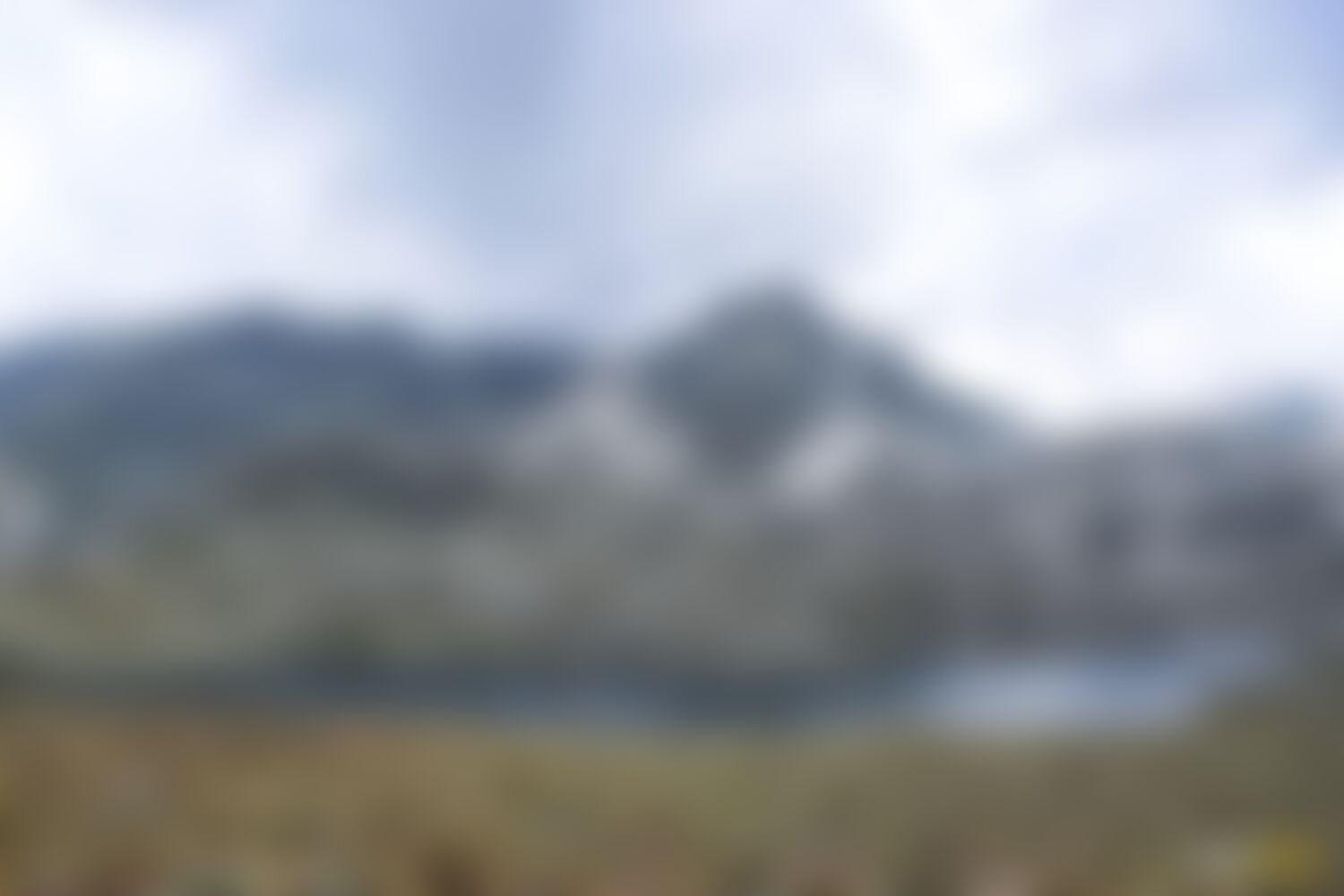 low-preview-9093d56f 0fb6 4864 a2c8 062cde31ea15 asther valley trek indiahikes nithesh kumar july 2022 website resolution  25