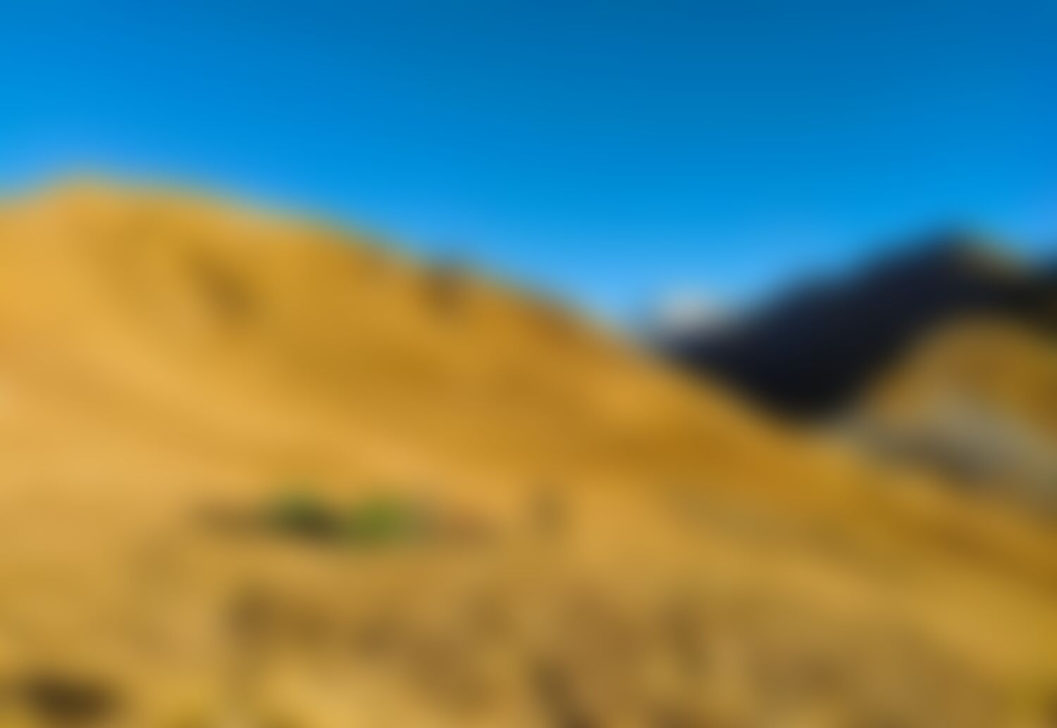 low-preview-92156 feature gidara bugyal indiahikes pailatu campsite swathi chatrapathy