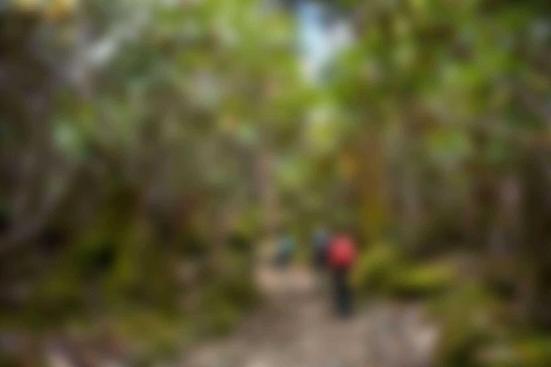 low-preview-969fe992 60e6 4782 a95a d8f8361eee59 goechala gcl samyak 24