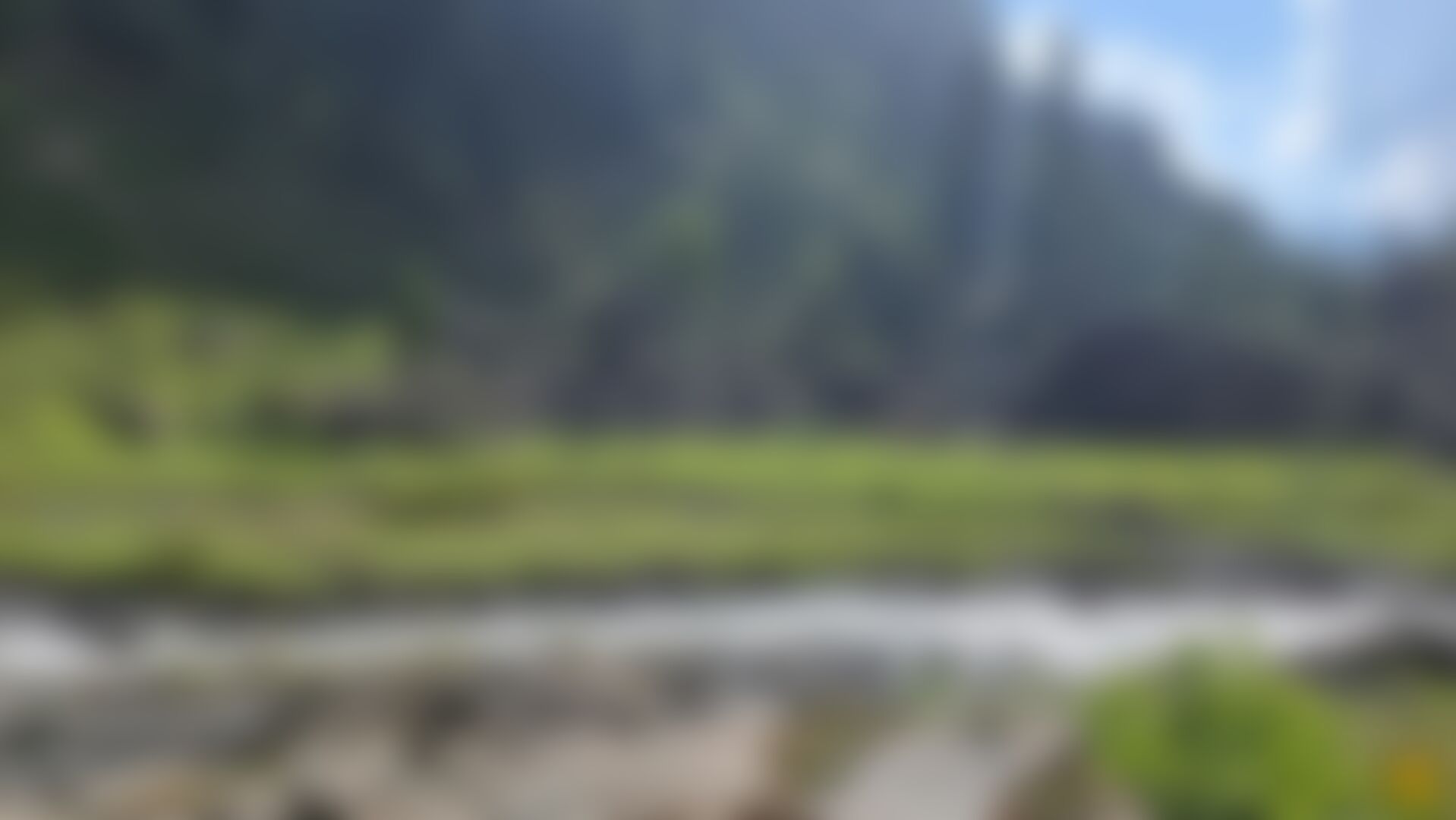 low-preview-98ade5de 6300 4991 a6d1 e7277d57cc8e 20210904 154043