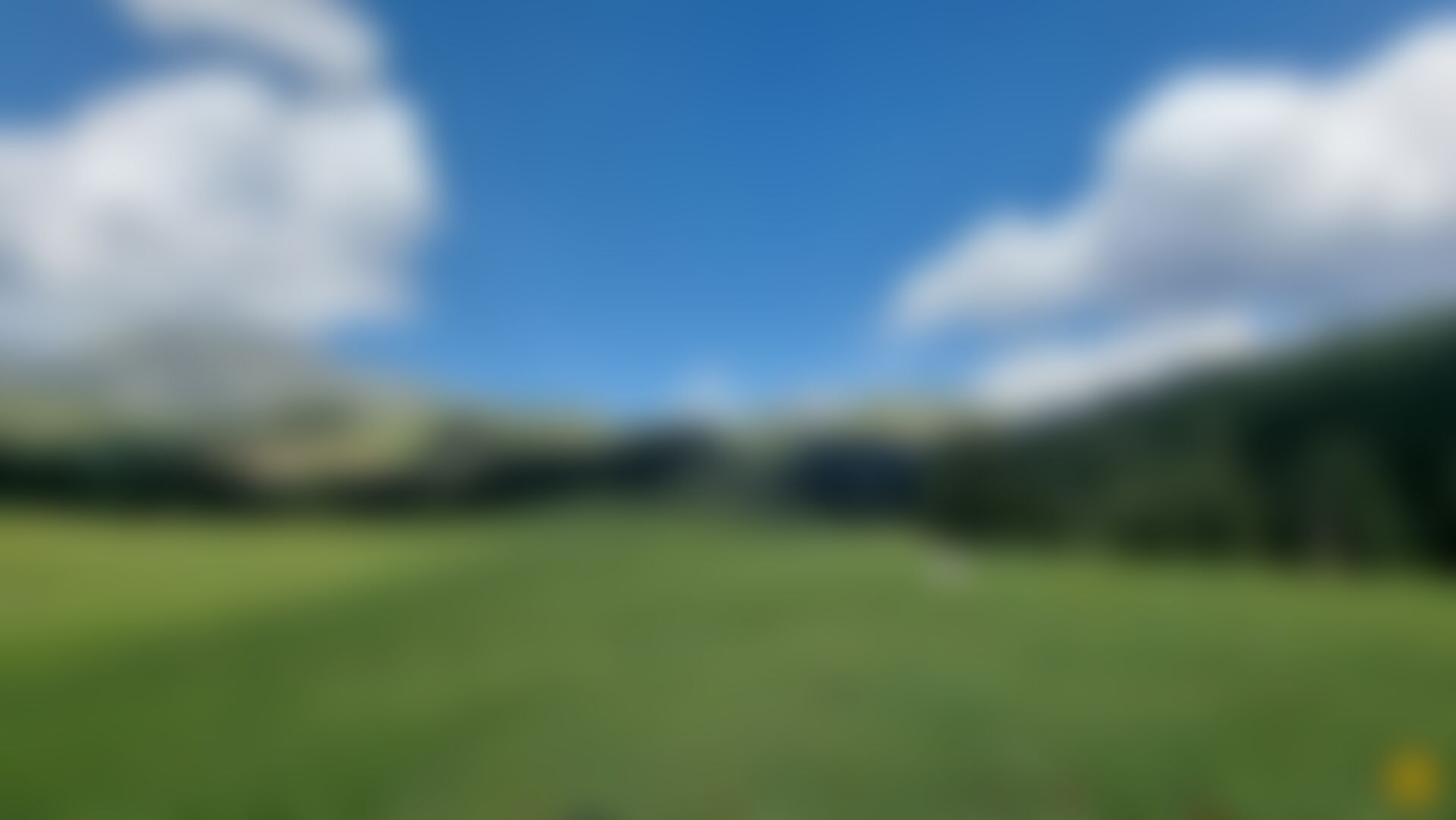 low-preview-98e1eb0a ef35 4913 9fbc 6c21828a16bf 20210902 154639