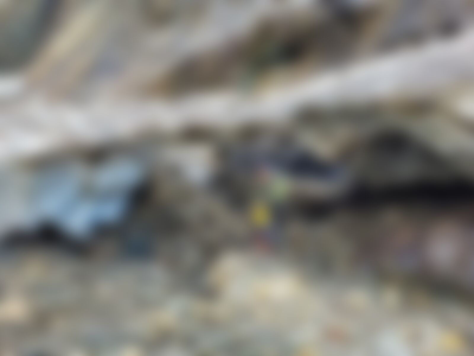 low-preview-9d704b1a c29a 4fd3 b1ef cbb4dab8d9ee nafran valley nv diptarka 2023  %28104%29