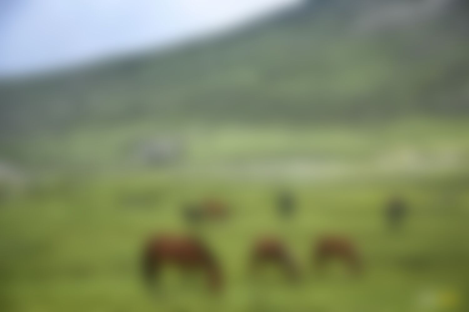 low-preview-9eb4e031 a094 4891 a7ba b4ee753bd915 asther valley trek indiahikes nithesh kumar july 2022 website resolution  9