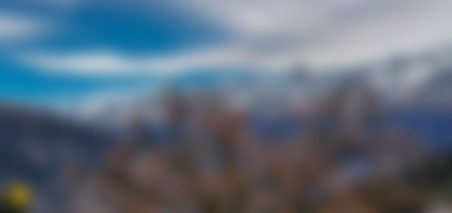 low-preview-a270ae46 425c 4ede a6c0 9001710bf4a7 dayara bugyal db deep thakkar chilapada mountans spring flowerandfauna