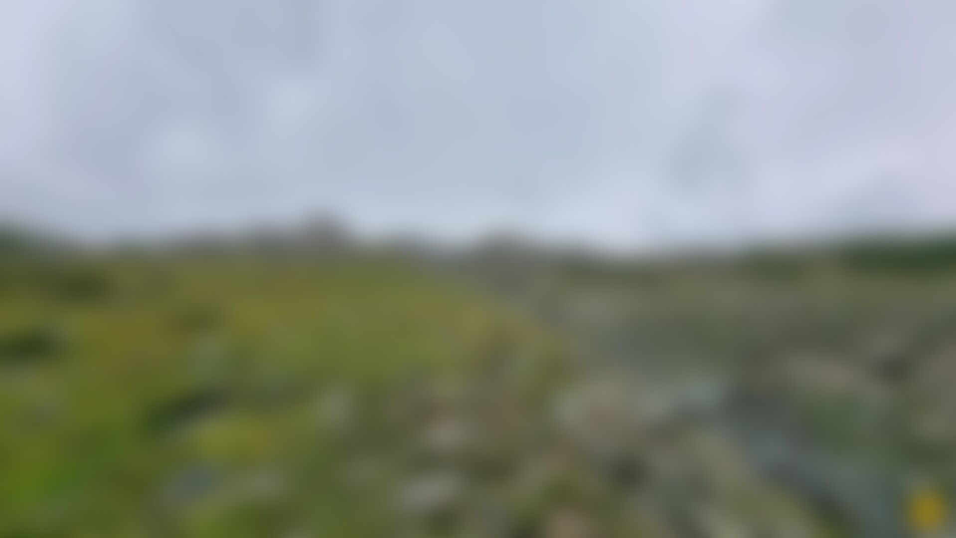 low-preview-ad0986c1 63aa 44e1 aa85 4e638fc7de5f 20210903 160506