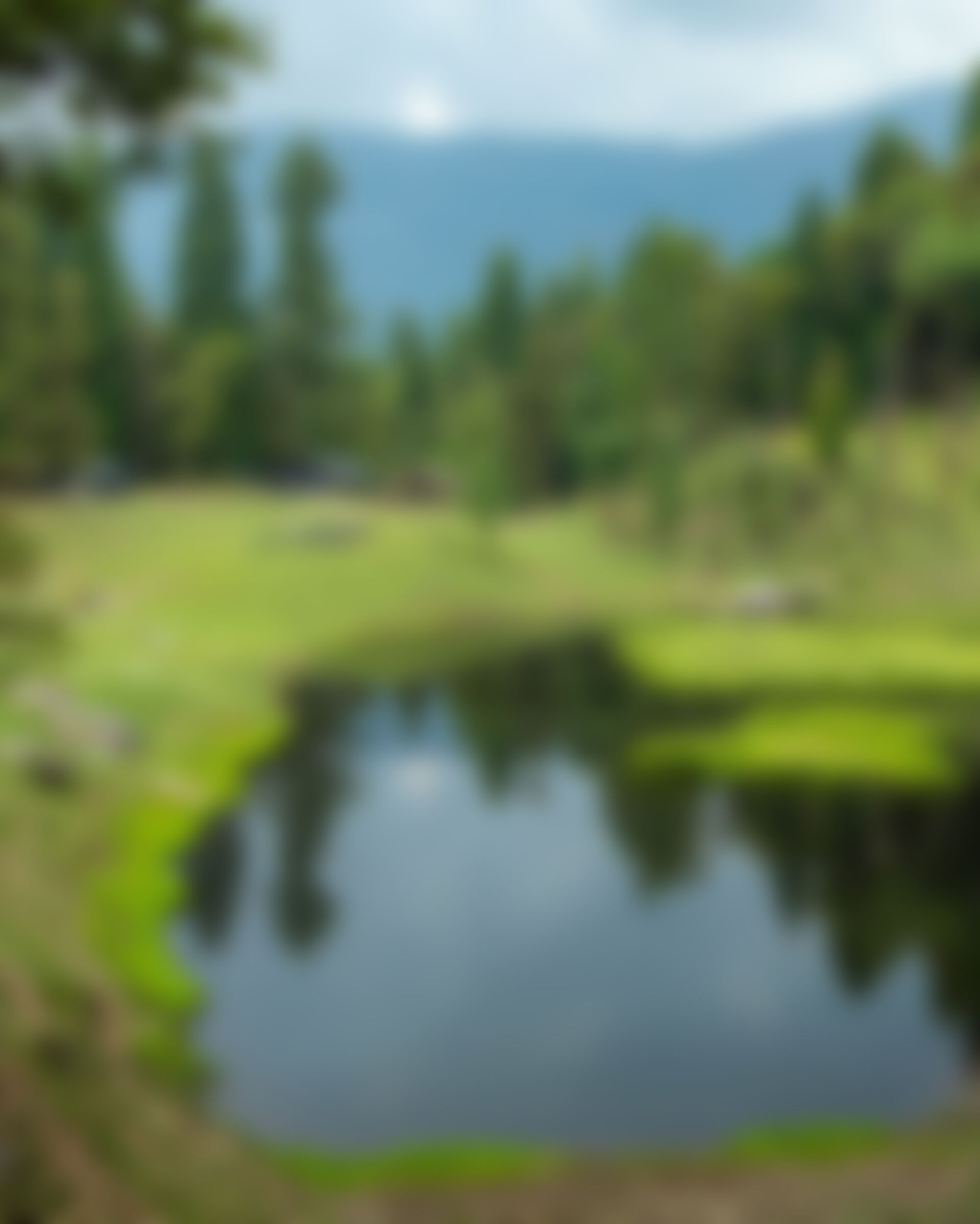 low-preview-ae1f3b62 876b 4b3a b131 6d2c8172cfbd phulara ridge trek jothiranjan 2023 april month 98