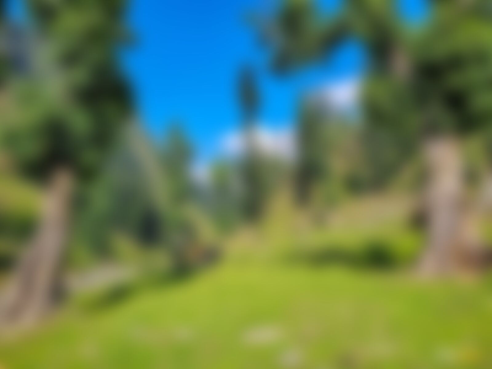 low-preview-aecf3b8a baa4 4d43 acea 3e4e9d65ea05 nafran valley nv diptarka 2023  %28116%29