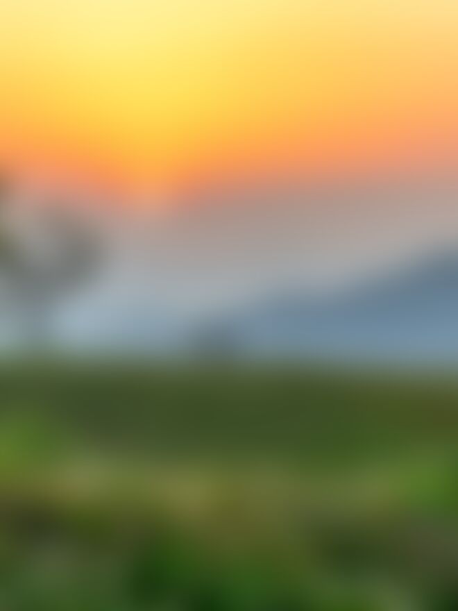 low-preview-b140a2e2 2e1b 49dc 898f 298131edf367 nag tibba nt kumar amrit   golden sunset in nag tibba campsite 1 