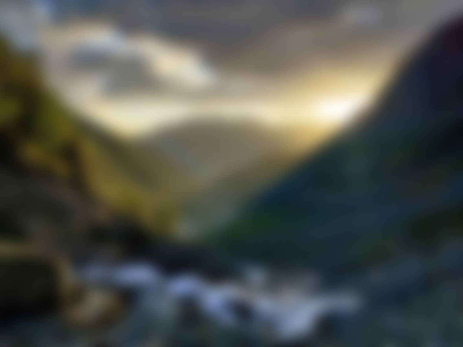 low-preview-b50bcb93 b868 496b 9f40 a8d2dce36e51 tulian lake rishivar mukharjee indiahikes52