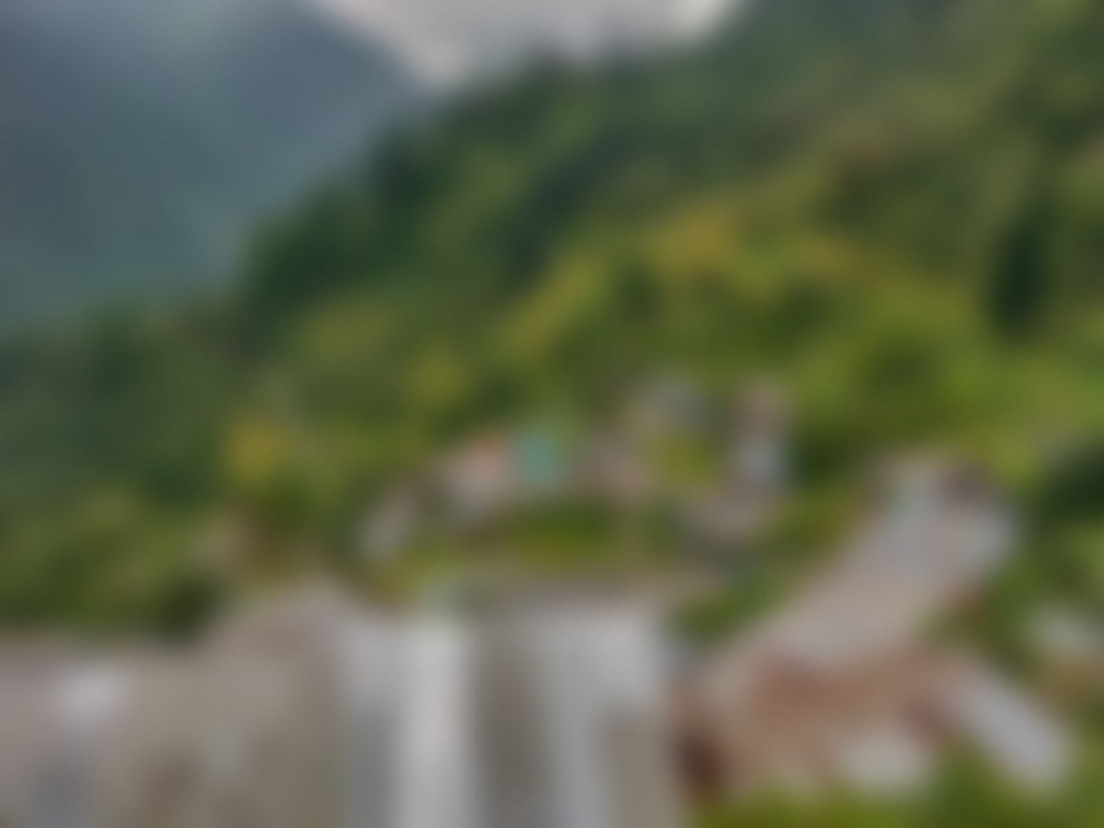 low-preview-b7edac2c 7ee2 4576 b874 df631b1b38a8 gidara bugyal gb nithesh indiahikes  %28155%29