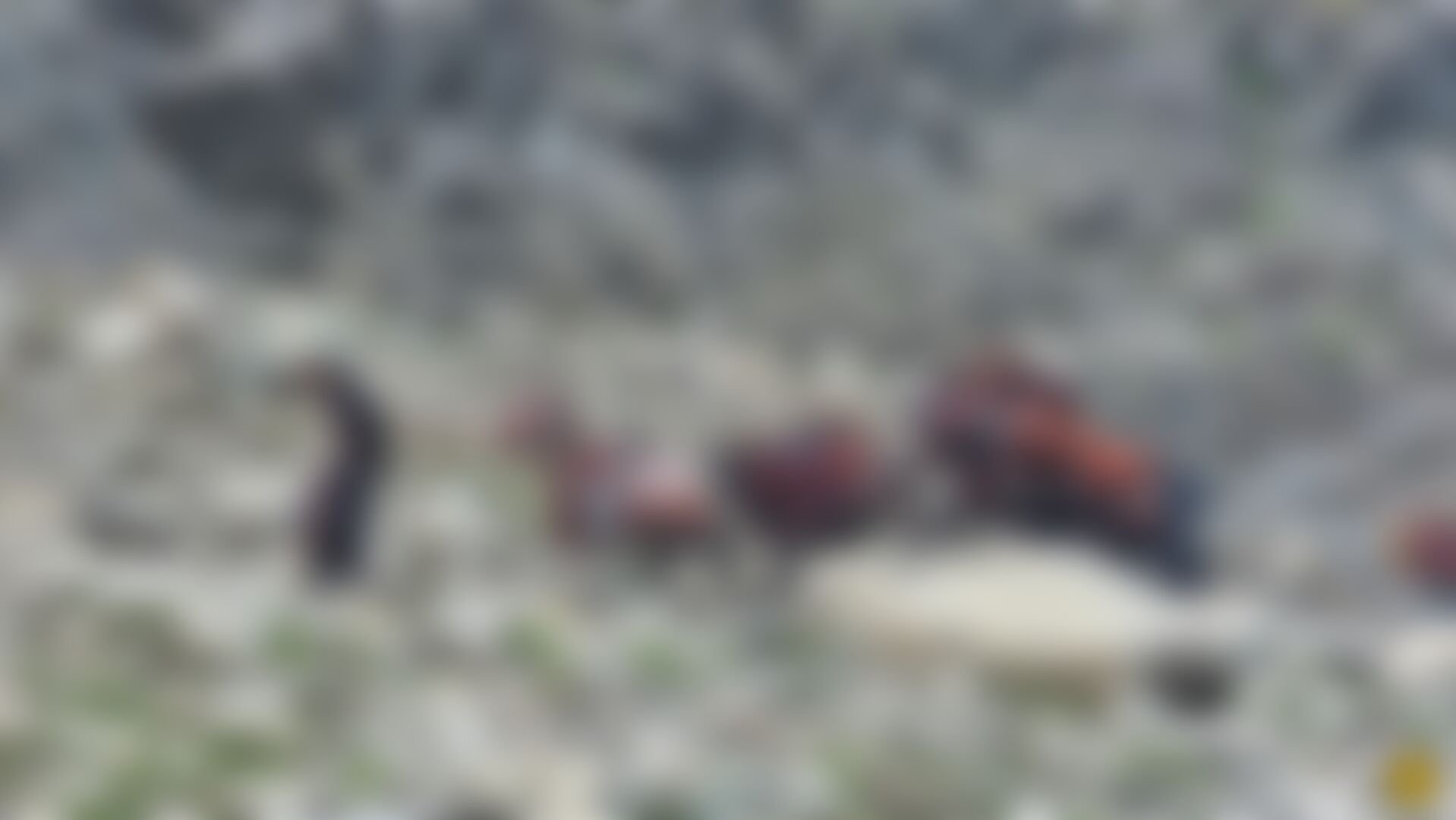 low-preview-b8d506ec d827 4ad4 8362 a5d9e04bd2d3 20210904 113838