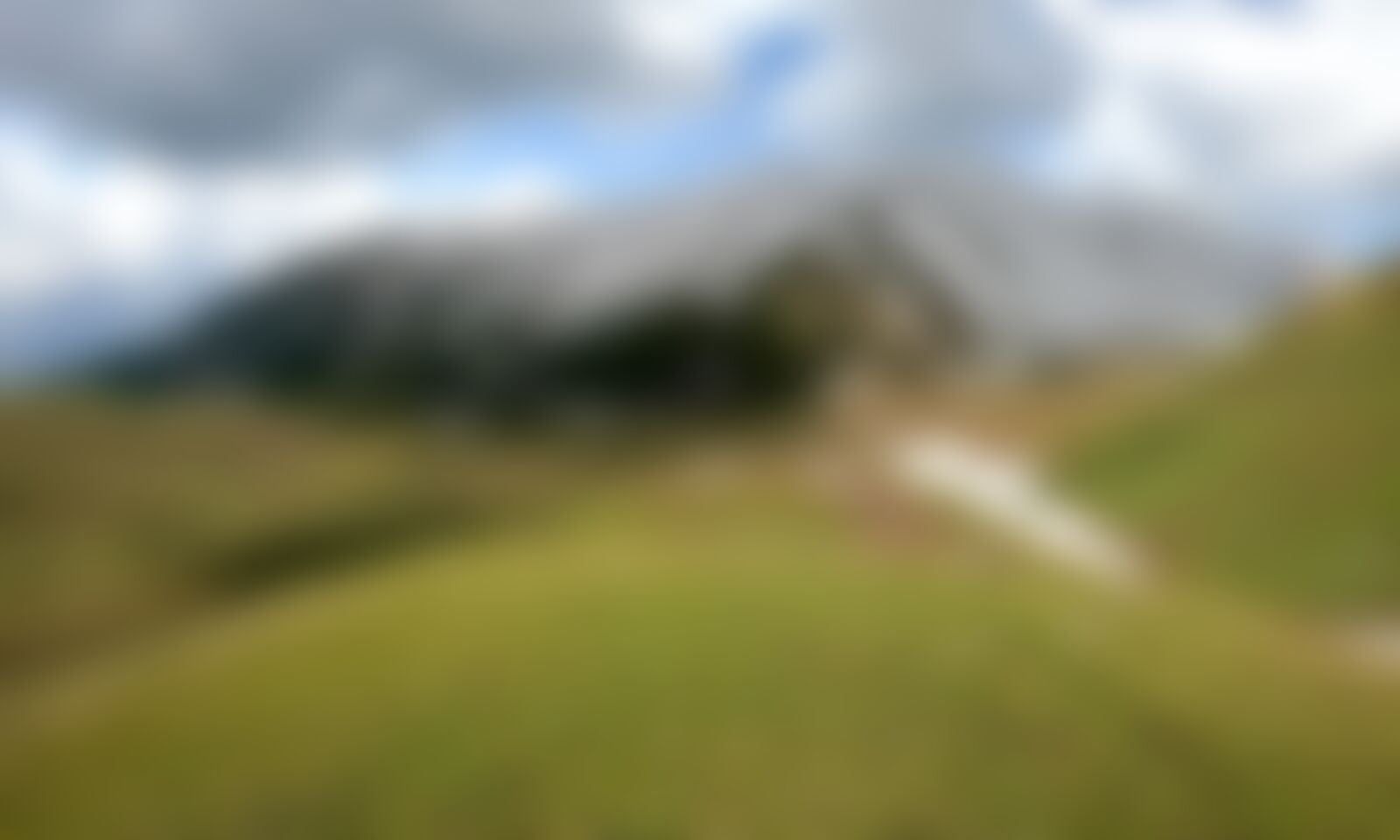 low-preview-bb70eee3 6da7 4362 b5e9 28e2847601a4 gidara bugyal trek indiahikes akshay aralikatti 3 6