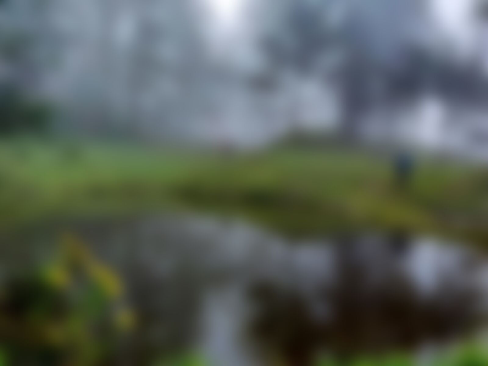 low-preview-bc01f967 6884 41a8 a320 7f3ba0bfc784 gidara bugyal gb nithesh indiahikes  %2814%29