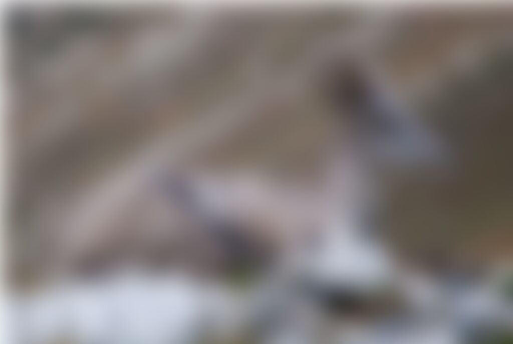 low-preview-bdbfed47 dfaf 4446 b79b e29ff146681b gaumukh gt atul rana indiahikes dsc 0195