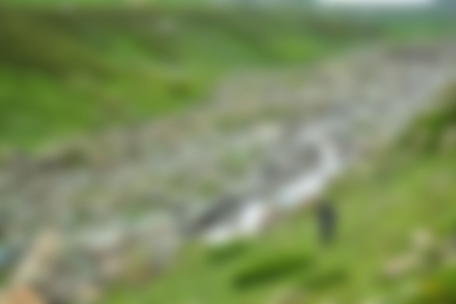 low-preview-c87500ae 68e8 474e 9fcb d4ff8c10683a dsc 0279 01 %281%29