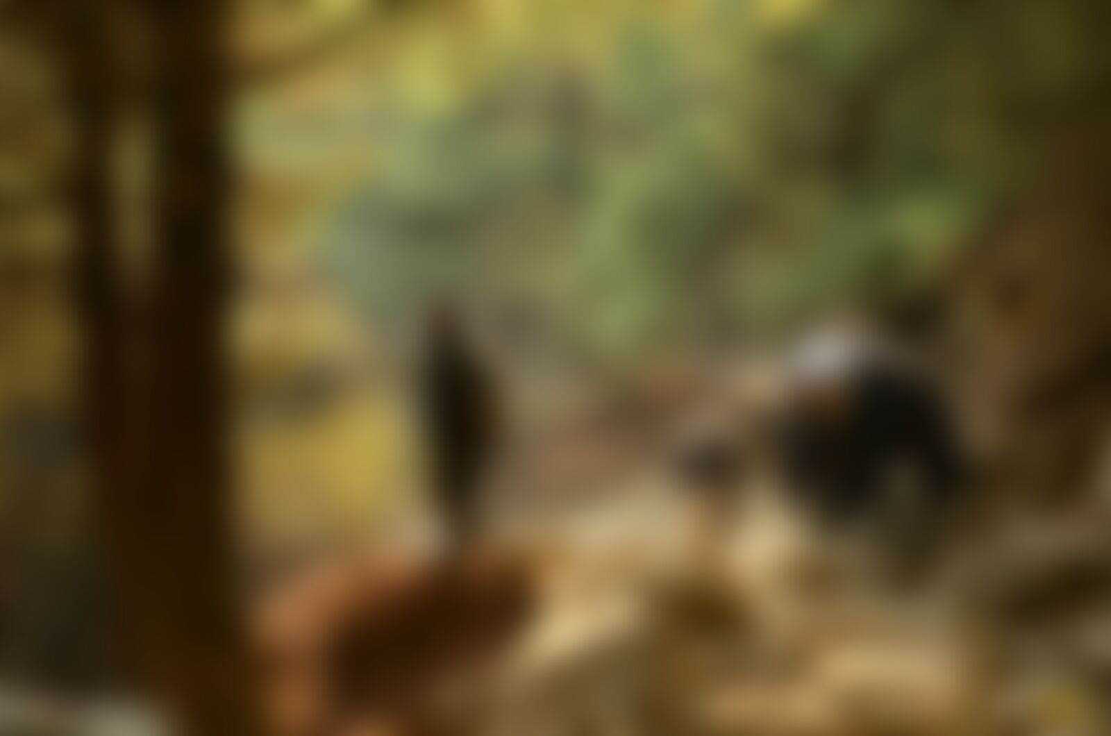 low-preview-c9fbe30d af9e 47f4 bd92 3a592591efe6 everest base camp ebc arun nayak 13