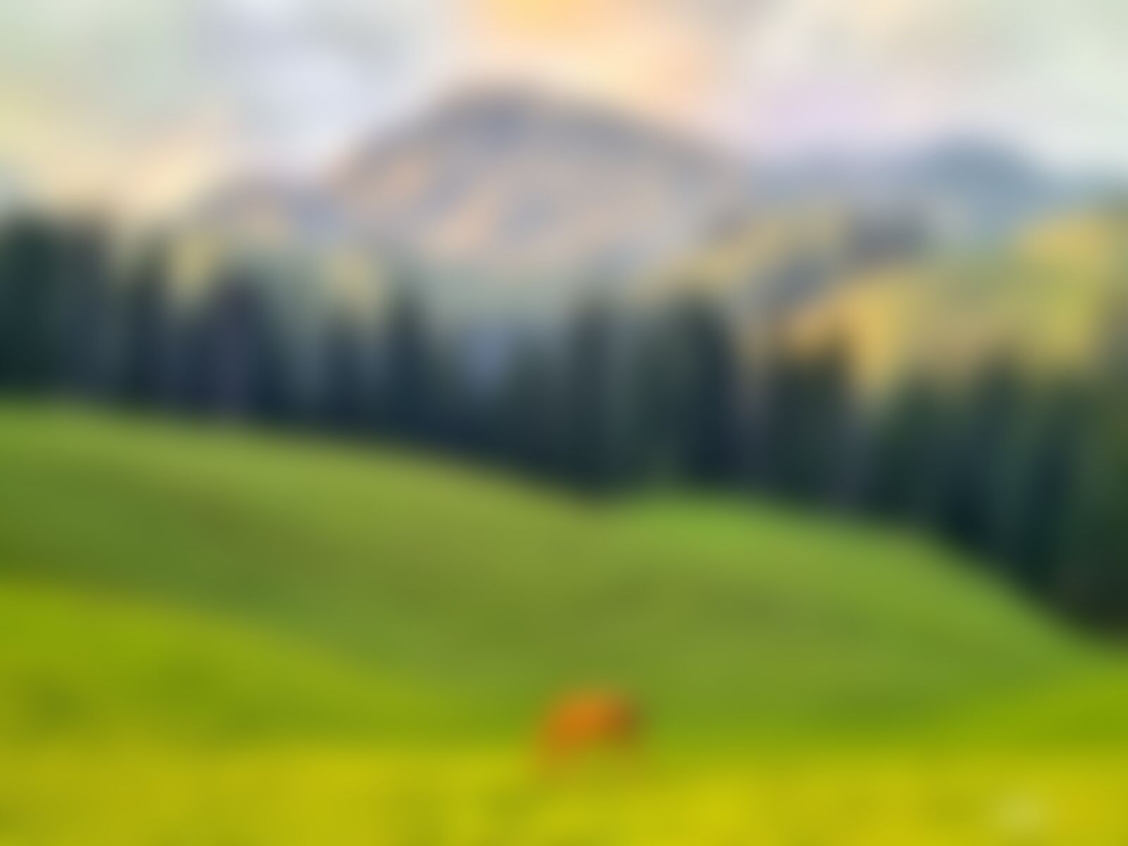 low-preview-ca3c4598 9ecf 4e3b 83ae f03f7ef4902c nafran valley  vishal pawar a horse grazing on the meadows of bhaj margi   vishal pawar