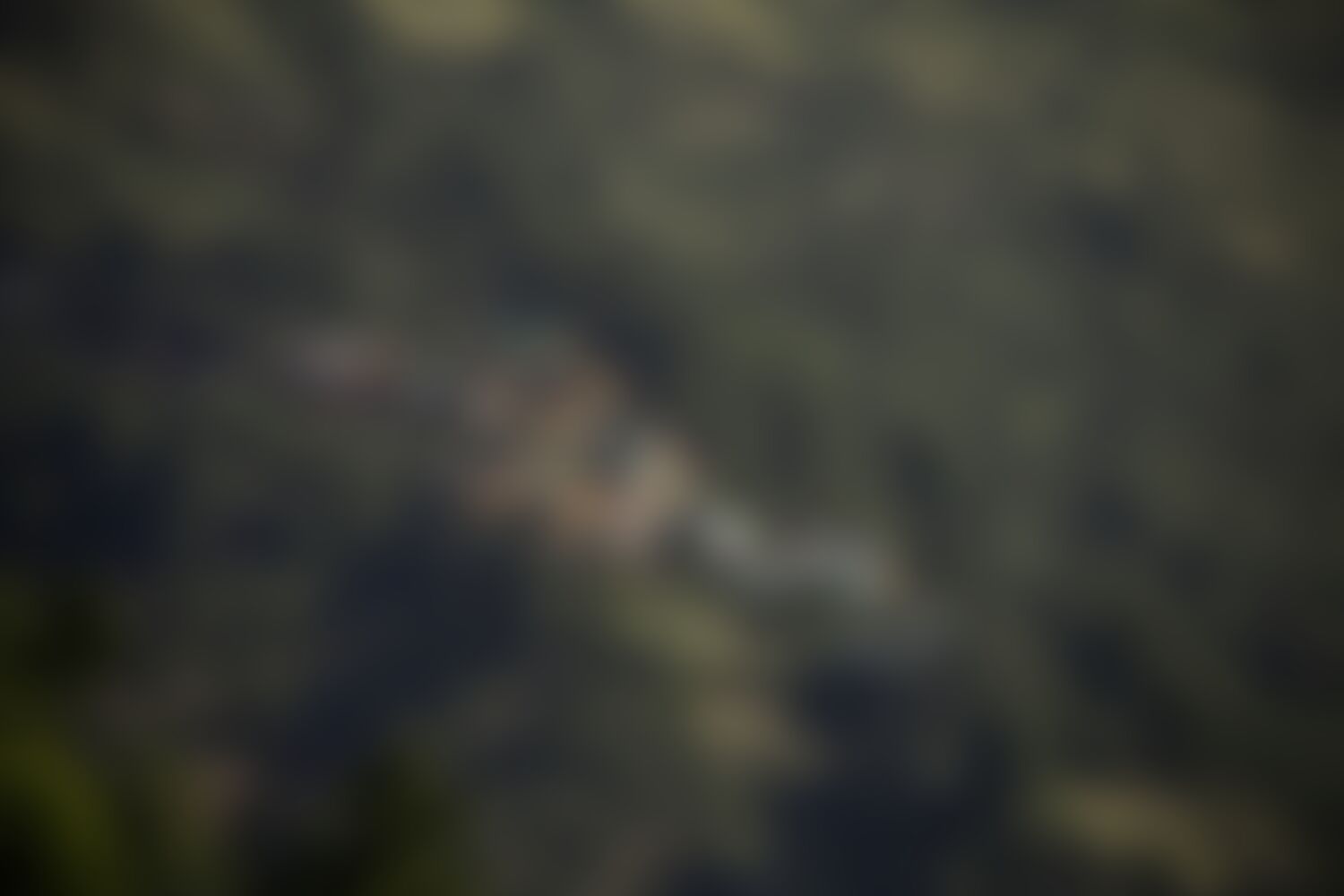 low-preview-cfa4ebf2 15ca 4674 973c 77b42eaea307 rupin pass trek jothiranjan june 2022 summer 79