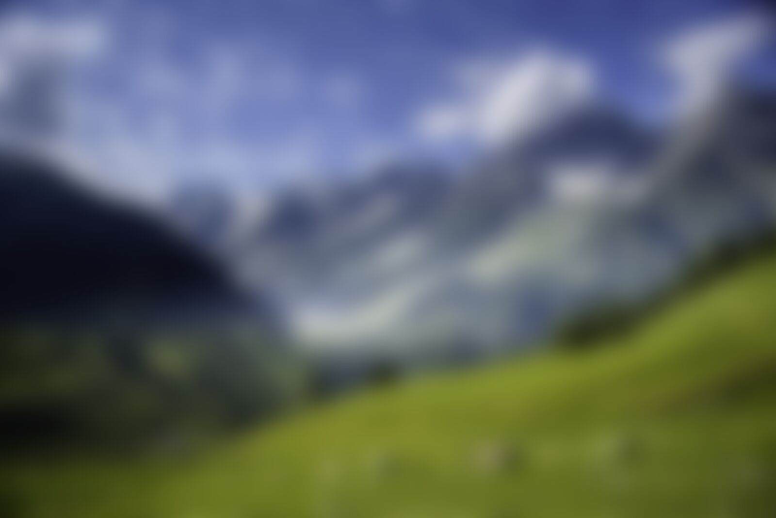 low-preview-d087dd46 5d8b 4733 bb29 ceda593dea48 august   kashmir great lakes indiahikes rajshree sarda 2