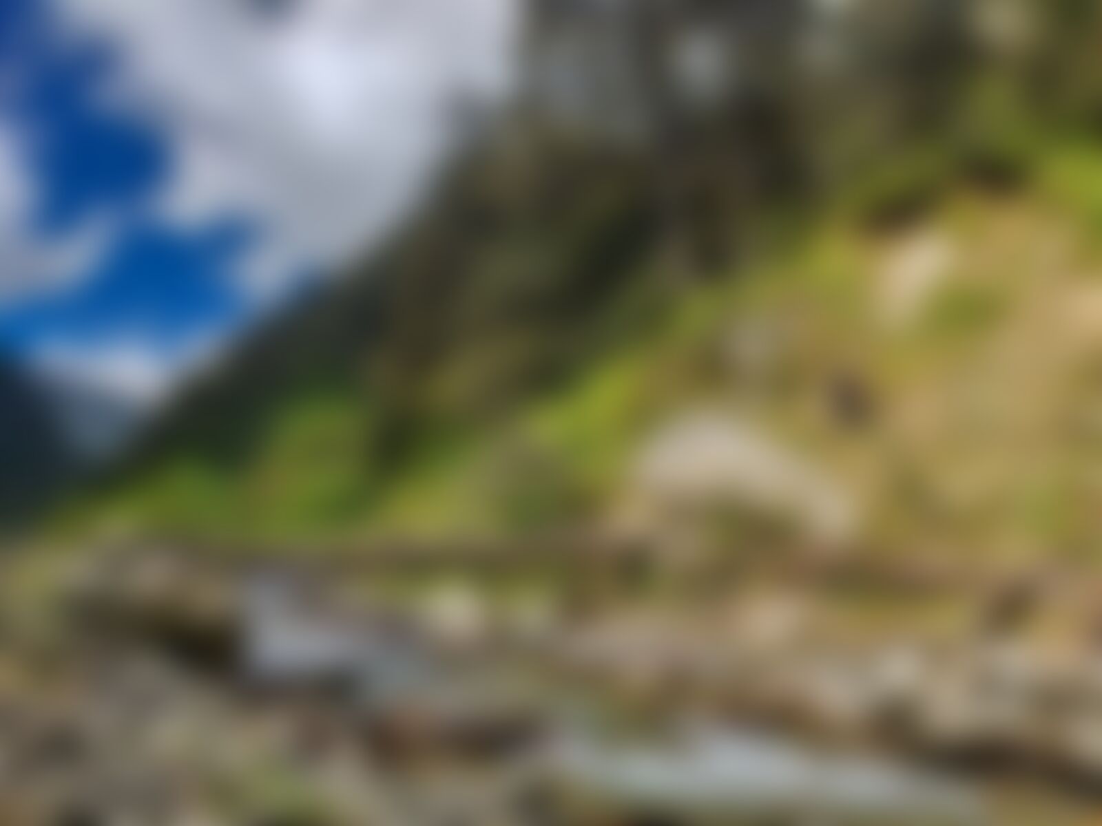 low-preview-d3907e43 8f84 4144 90e6 35cb00799da5 gidara bugyal gb nithesh indiahikes  %2826%29