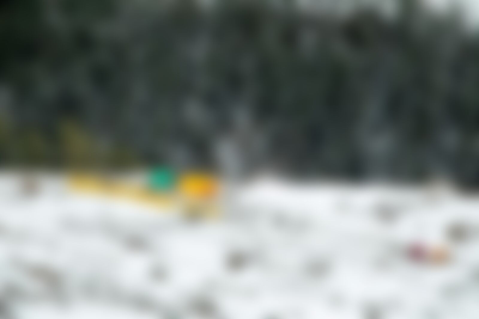 low-preview-d3d40e75 7e7d 4d16 a7f6 f96749de572d harkidun indiahikes jothiranjan kalkatiyadhar campsite march 2021