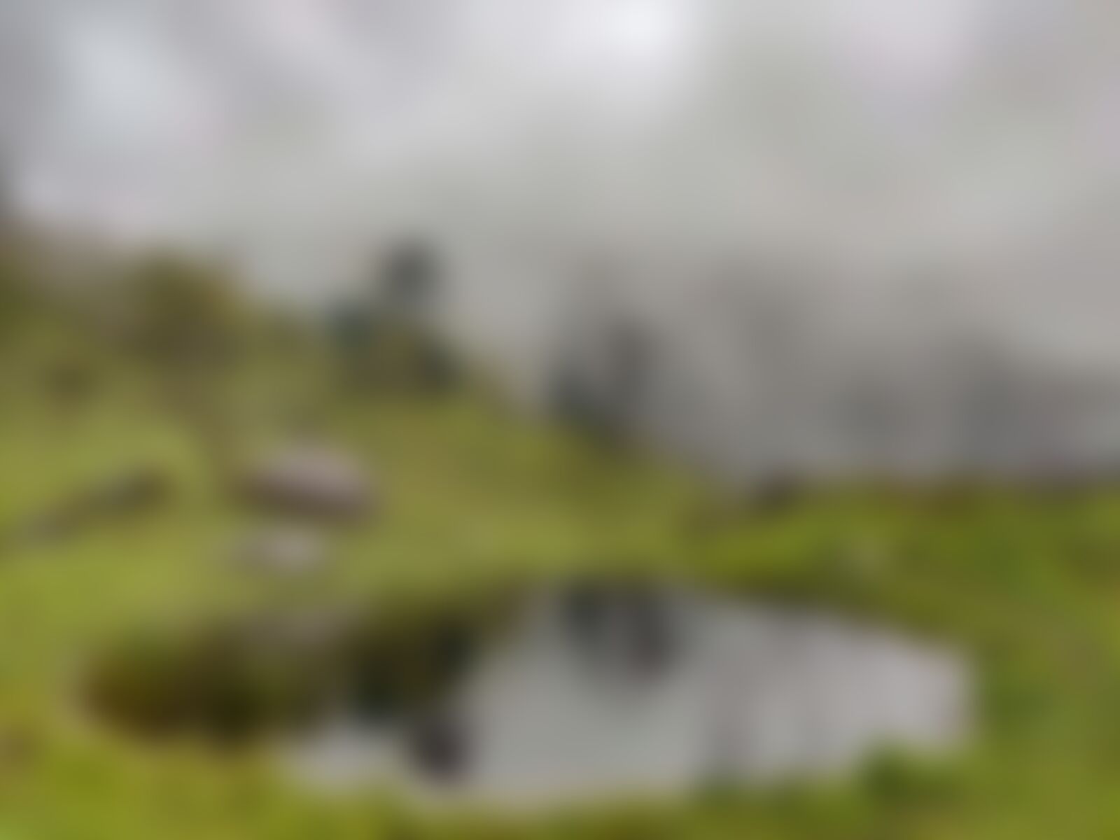 low-preview-d55202ff 544d 4465 bfeb 458a6e3af320 gidara bugyal gb nithesh indiahikes  %28150%29