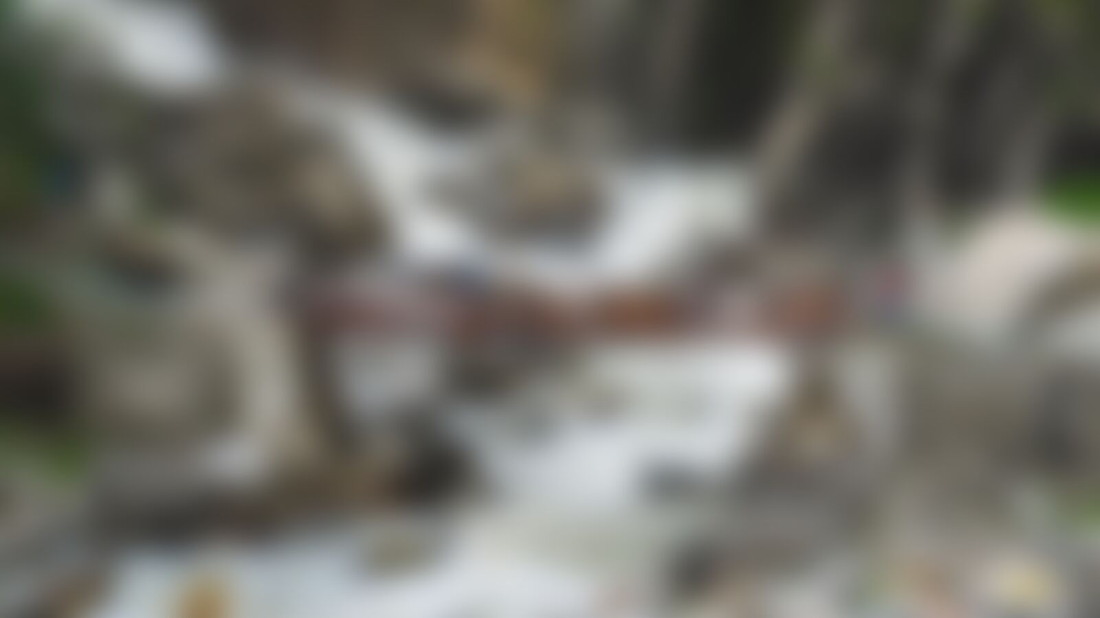 low-preview-d8438766 a8c5 463a b6c0 93b37437720b valley of flowers vof huzefa studiowala   thrashing  bashing  crushing rocks