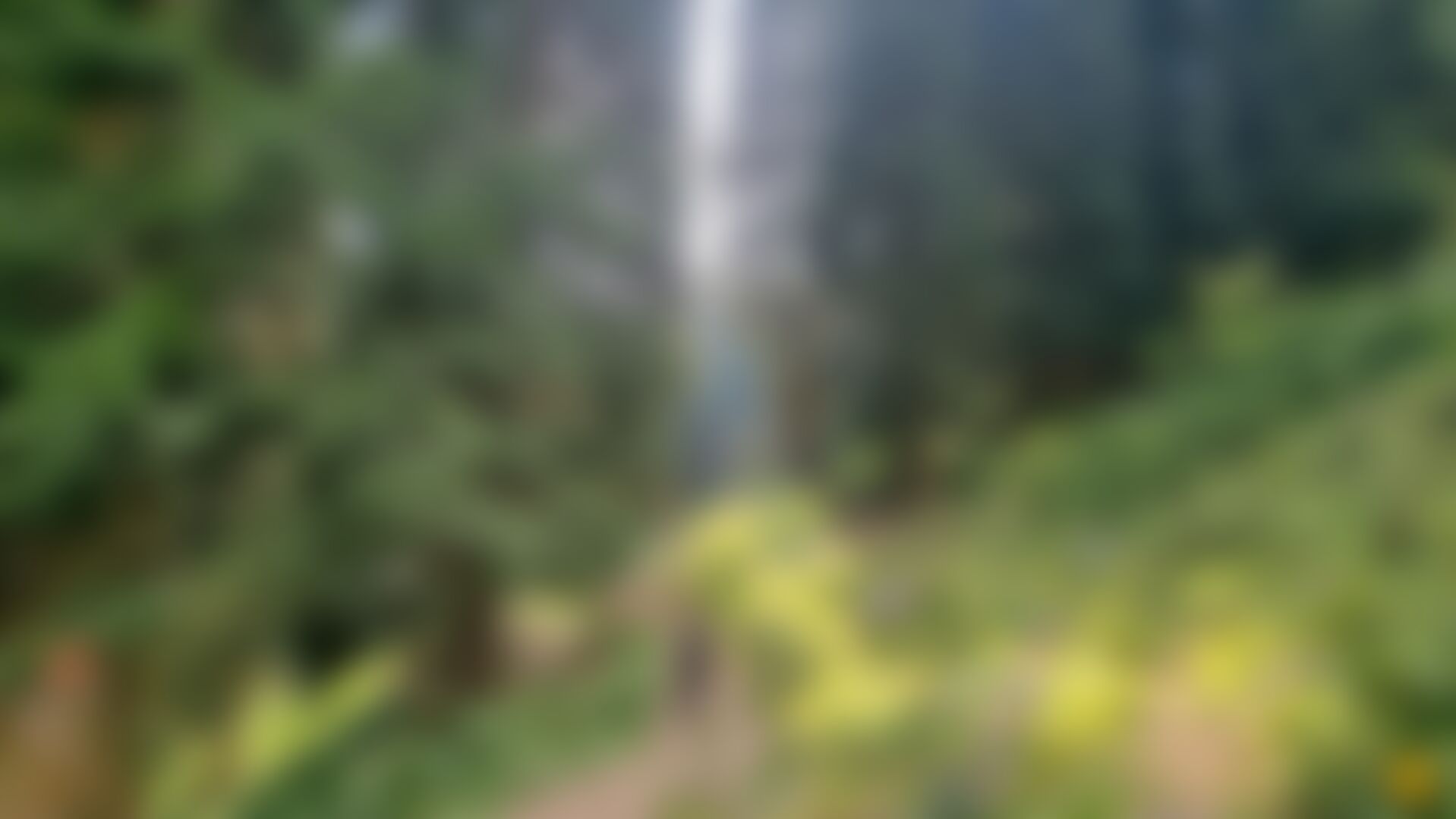 low-preview-d875f9cd 5287 4dd0 b251 8c97805a6e90 20210904 160313