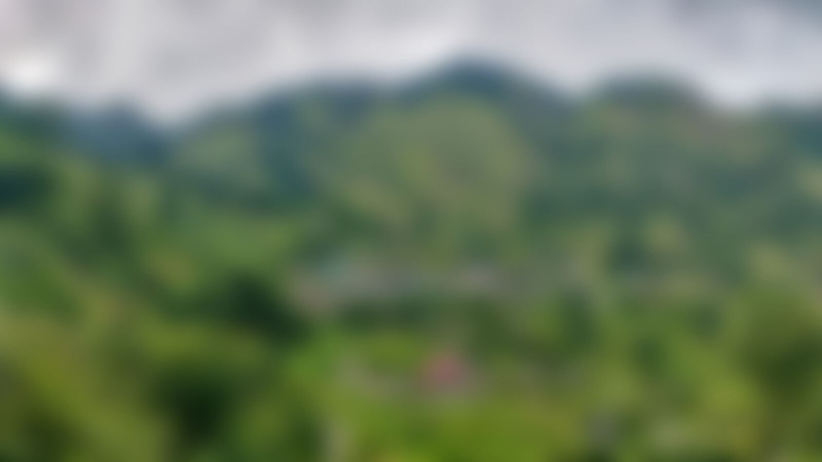 low-preview-d8774bb9 aa80 4164 900d ea9bdb92dce8 gidara bugyal niteish indiahikes 3