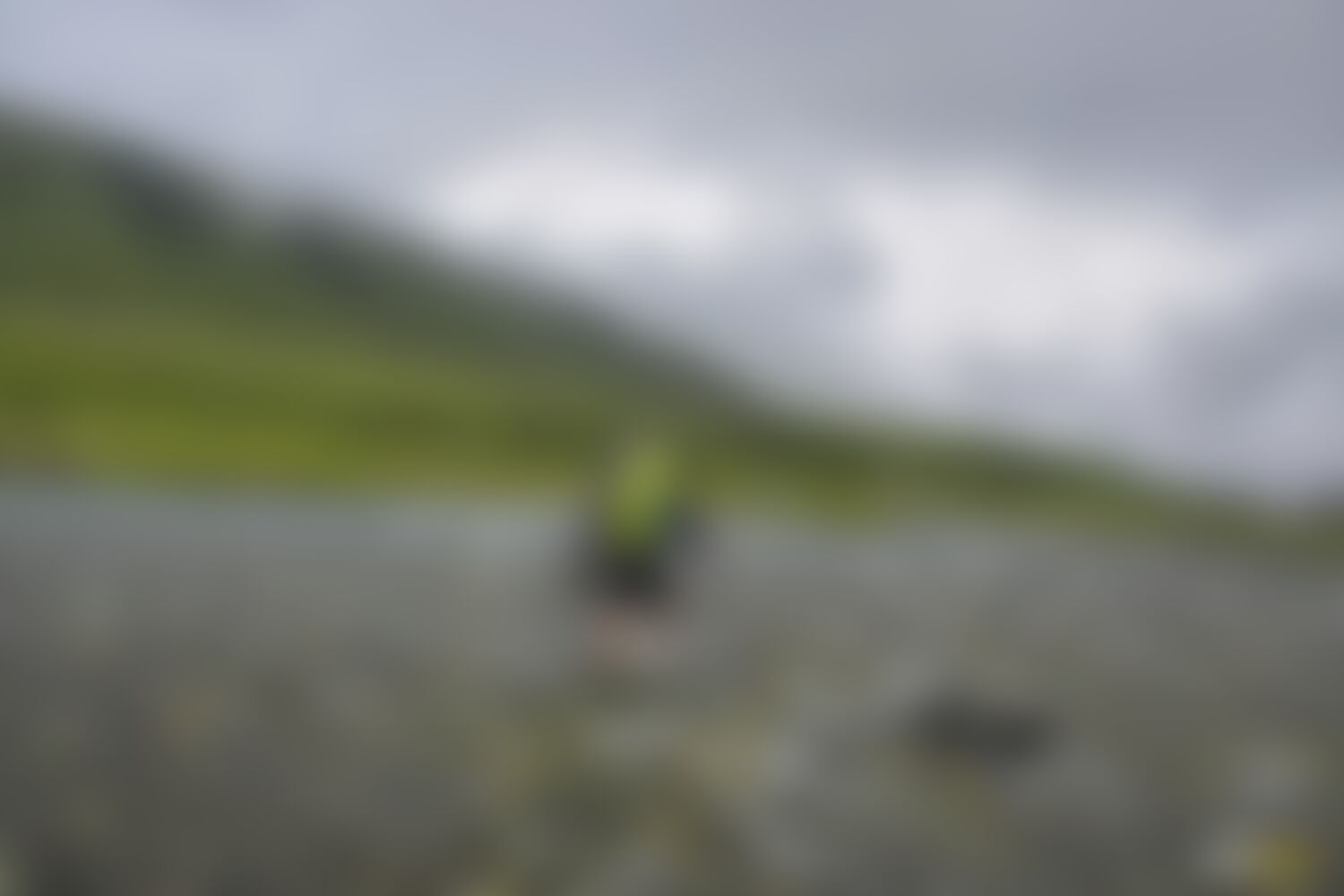 low-preview-d8f532a0 d87d 4e17 b79f 7b68edd854b3 asther valley trek indiahikes nithesh kumar july 2022 website resolution  8