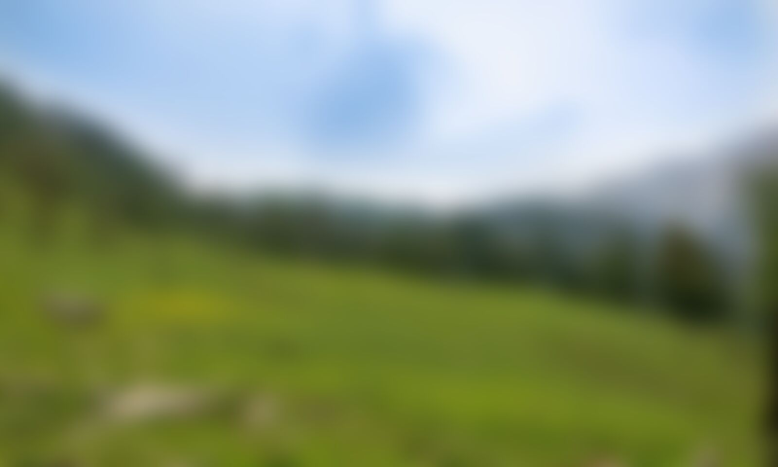 low-preview-dafe8003 b53b 4307 8cae d6c427bce394 gidara bugyal trek indiahikes akshay aralikatti 3 14