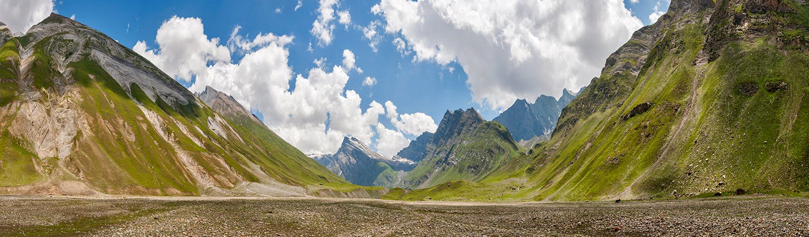 low-preview-dd7931cb 2be6 4419 aac9 b1283251bec5 warwan   subro   compressed