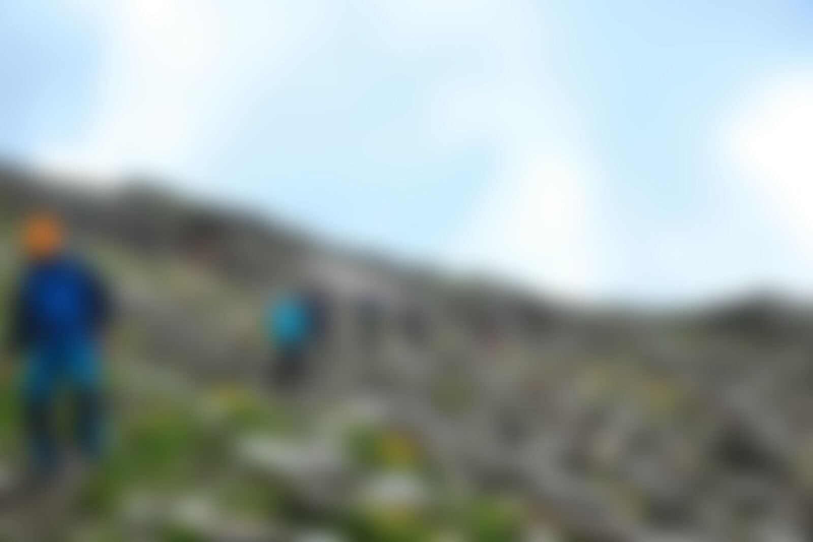 low-preview-df91dbd0 f2d0 4ec2 9eca 26e457d553b3 bhrigu lake bl indiahikes jothiranjan august 2021 trailwithtrekkers