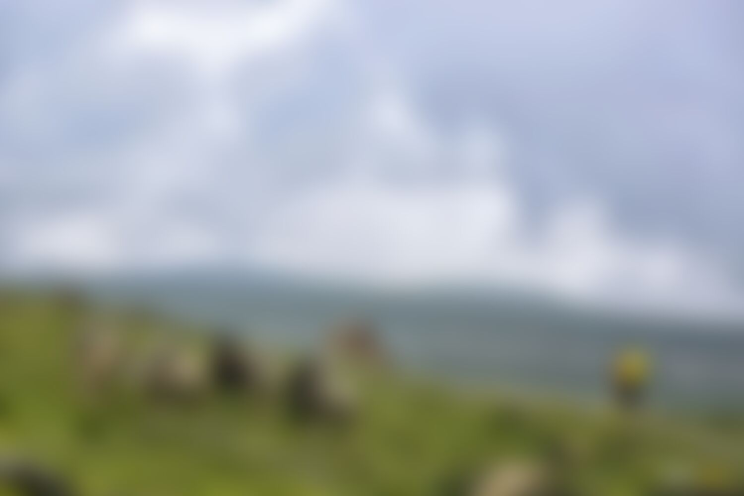 low-preview-e5965523 4f9c 419d 8417 10a03c9262b4 asther valley trek indiahikes nithesh kumar july 2022 website resolution  16