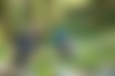 low-preview-e7ca418e 5254 4c81 b64c edda57388c14 deoriatal chandrashila dc family trek jothiranjan april 2022 2