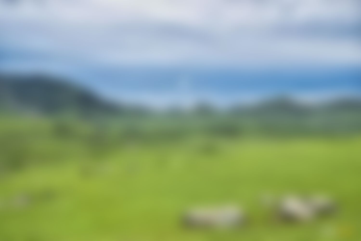 low-preview-ebe44200 45ac 4e21 aa9a 81bff29da446 asther valley trek indiahikes nithesh kumar july 2022 website resolution  38