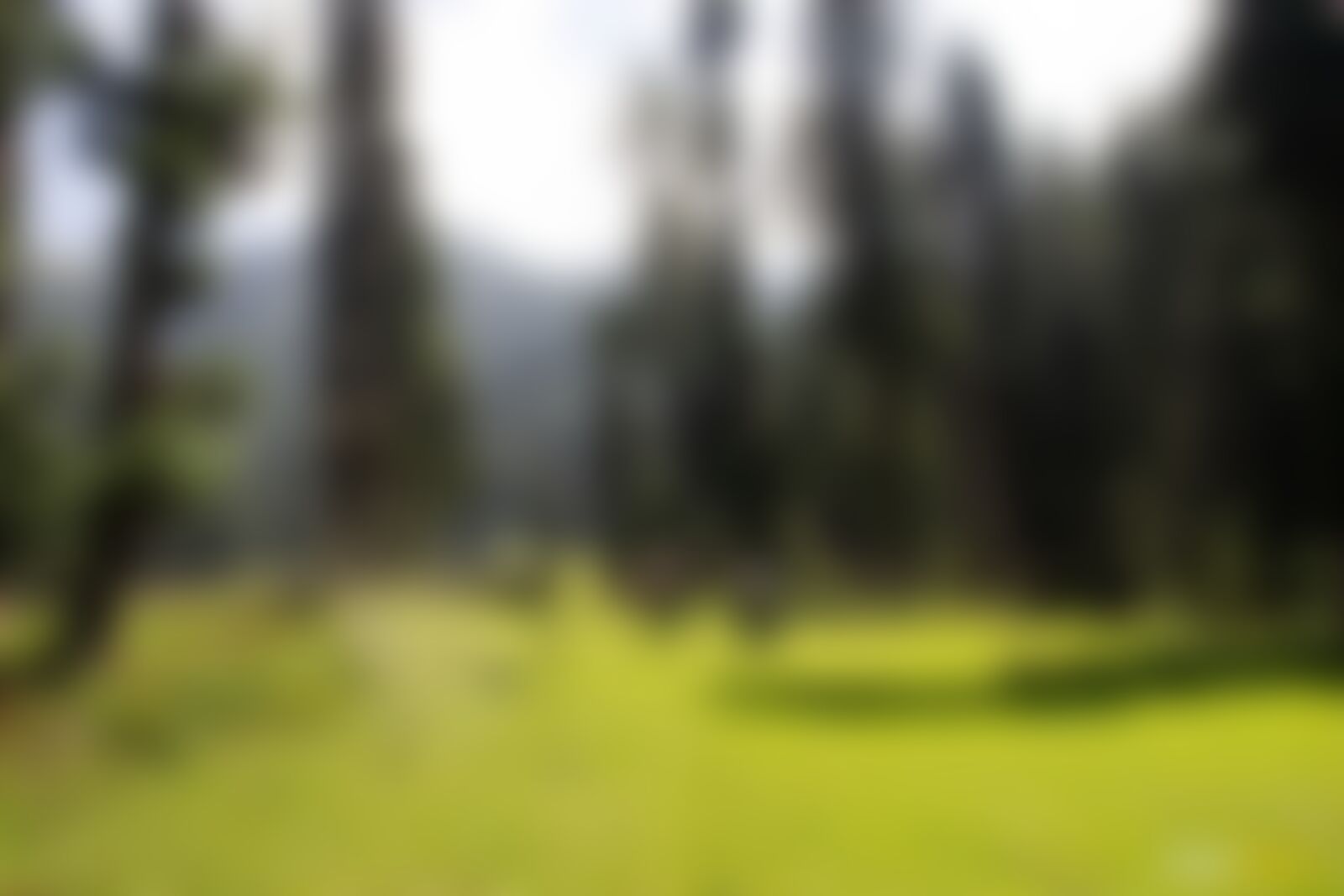 low-preview-ec8b60c2 b417 4a65 acef 1a5fc8ac2545 tulian lake lucas bragagnollo indiahikes %284%29