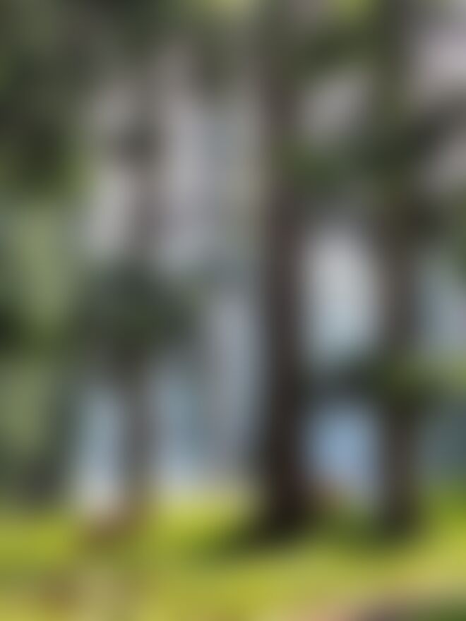 low-preview-ee3541ab 6925 4d39 bf97 ff86727dc05f tulian lake lucas bragagnollo indiahikes %2816%29