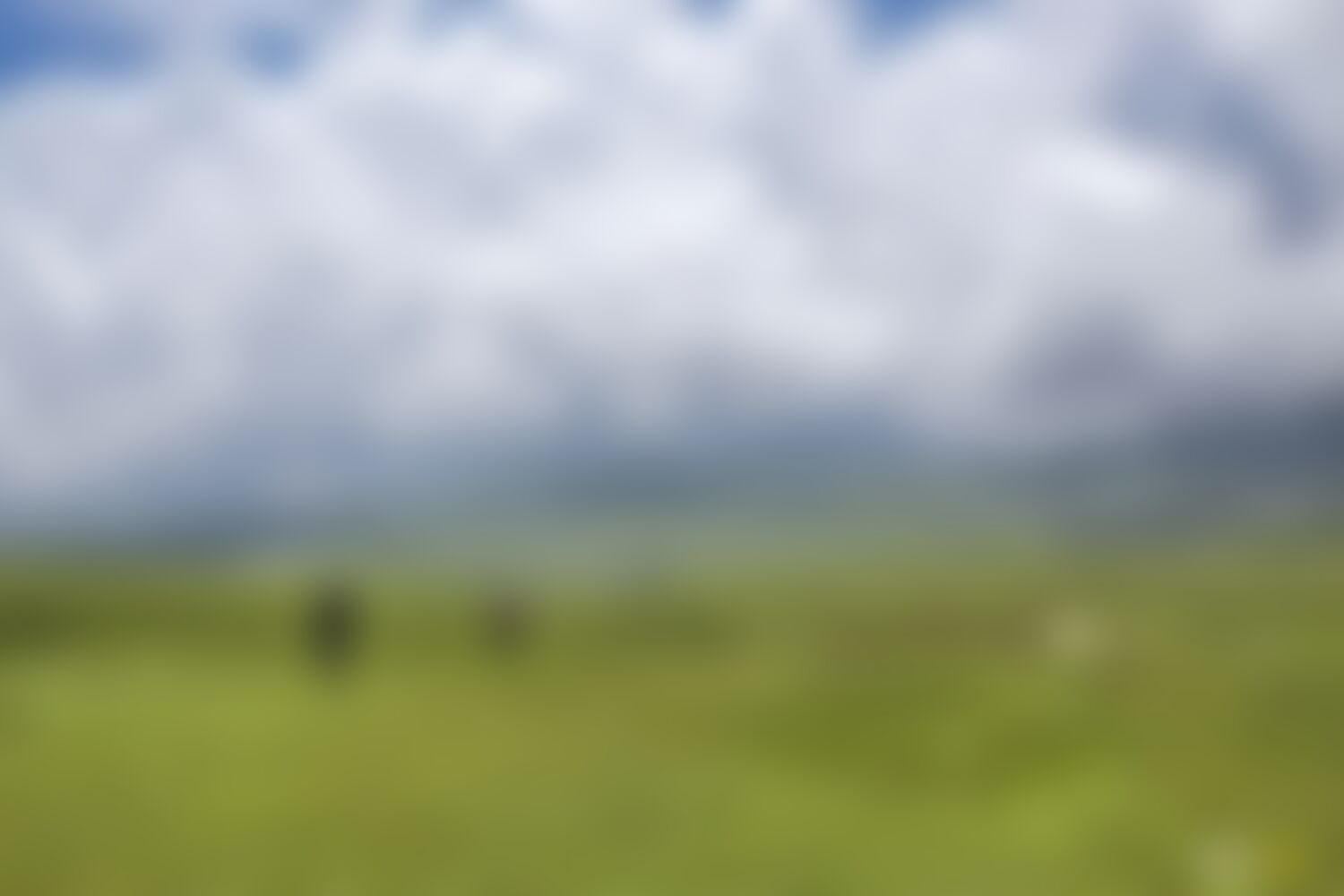 low-preview-ef027b40 3d49 40fc 8458 8b02958f8006 asther valley trek indiahikes nithesh kumar july 2022 website resolution  11