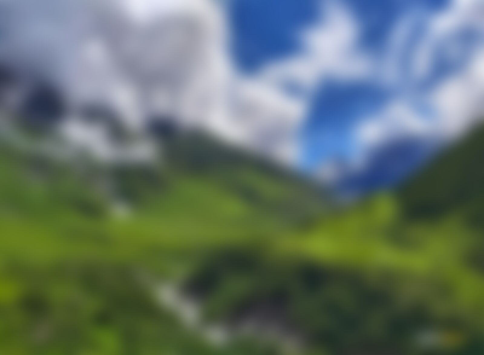 low-preview-f368113e 5365 48d2 828a 03ea62dd80c2 valley of flowers vof kavya ps   shades of greeeeeeeeeeen