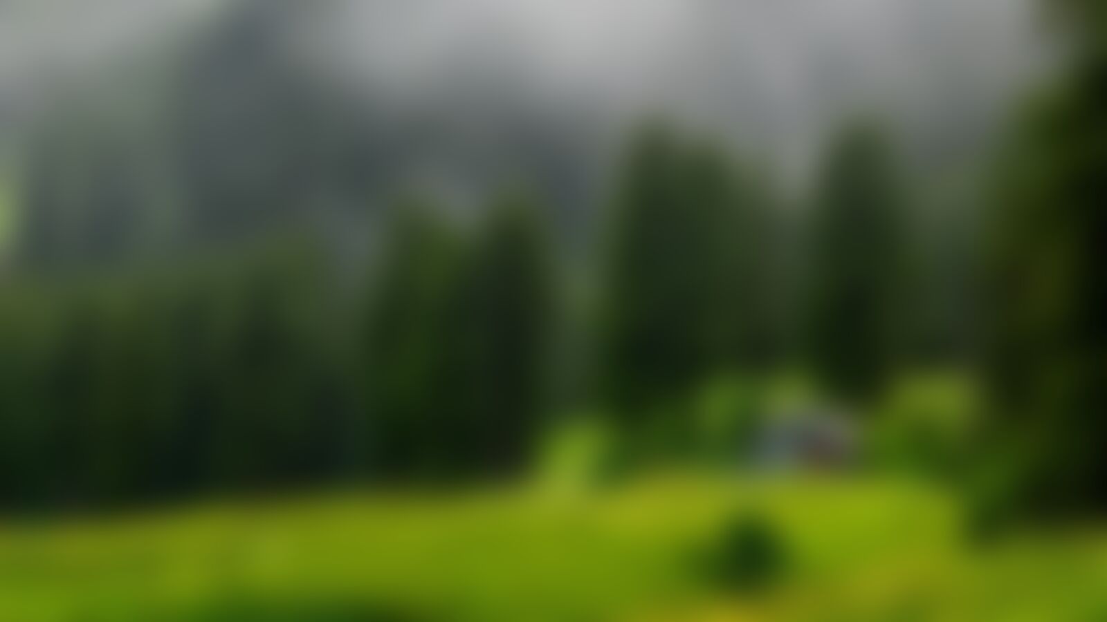 low-preview-f42623a5 3bbb 485f 95b0 5c79c9fb9436 tarsar marsar santhosh july 2022 1