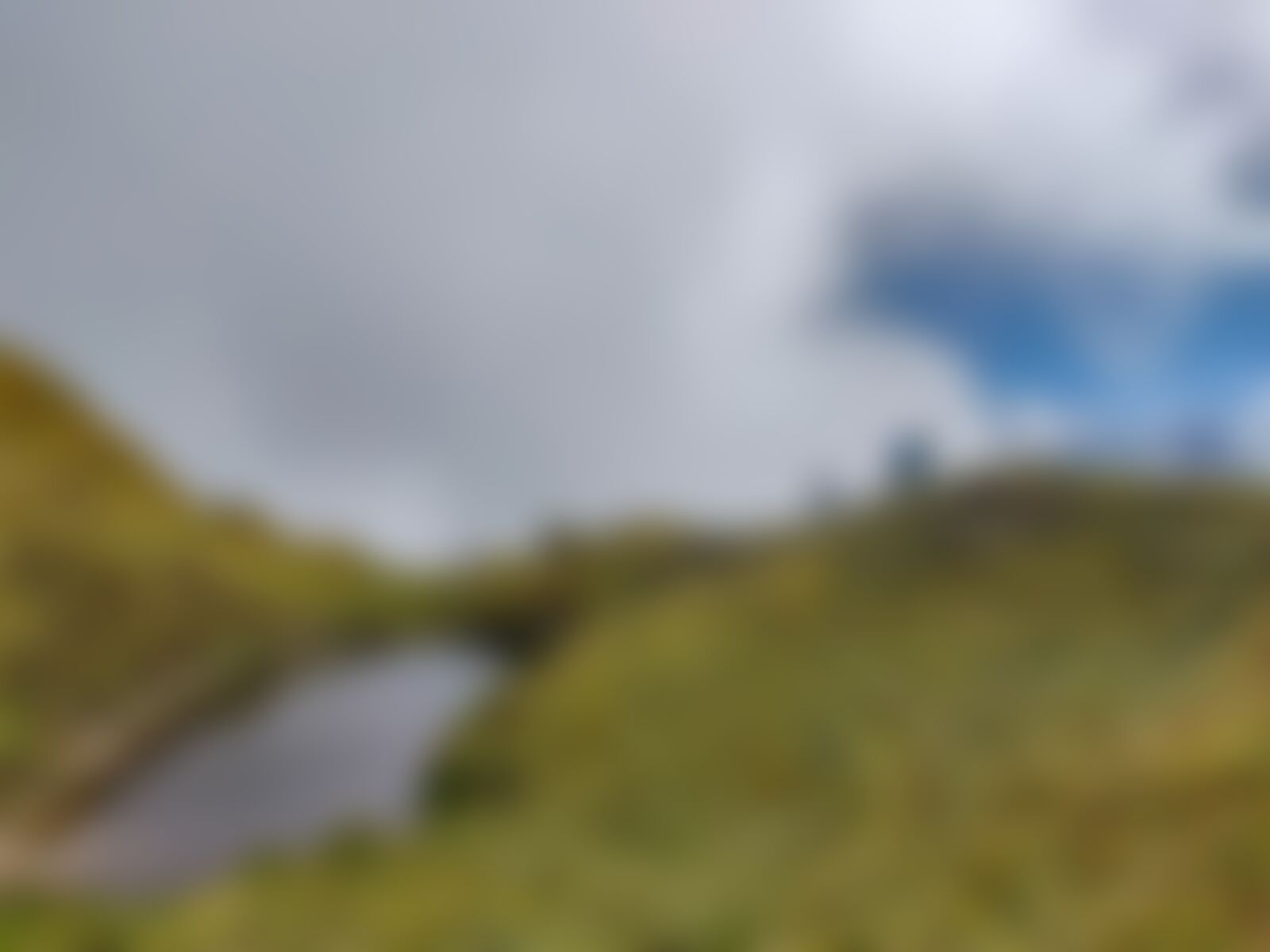 low-preview-f77c873f d641 4ea1 ad93 8178fbd7f874 gidara bugyal gb nithesh indiahikes  %2848%29