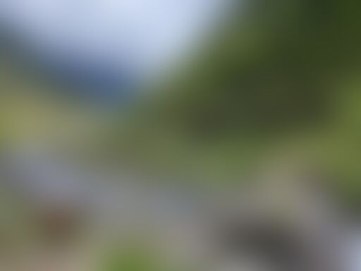 low-preview-f89e5483 c2aa 470d a44f b3fa8a183e19 trail from jiskun rupin pass indiahikes nitesh kumar