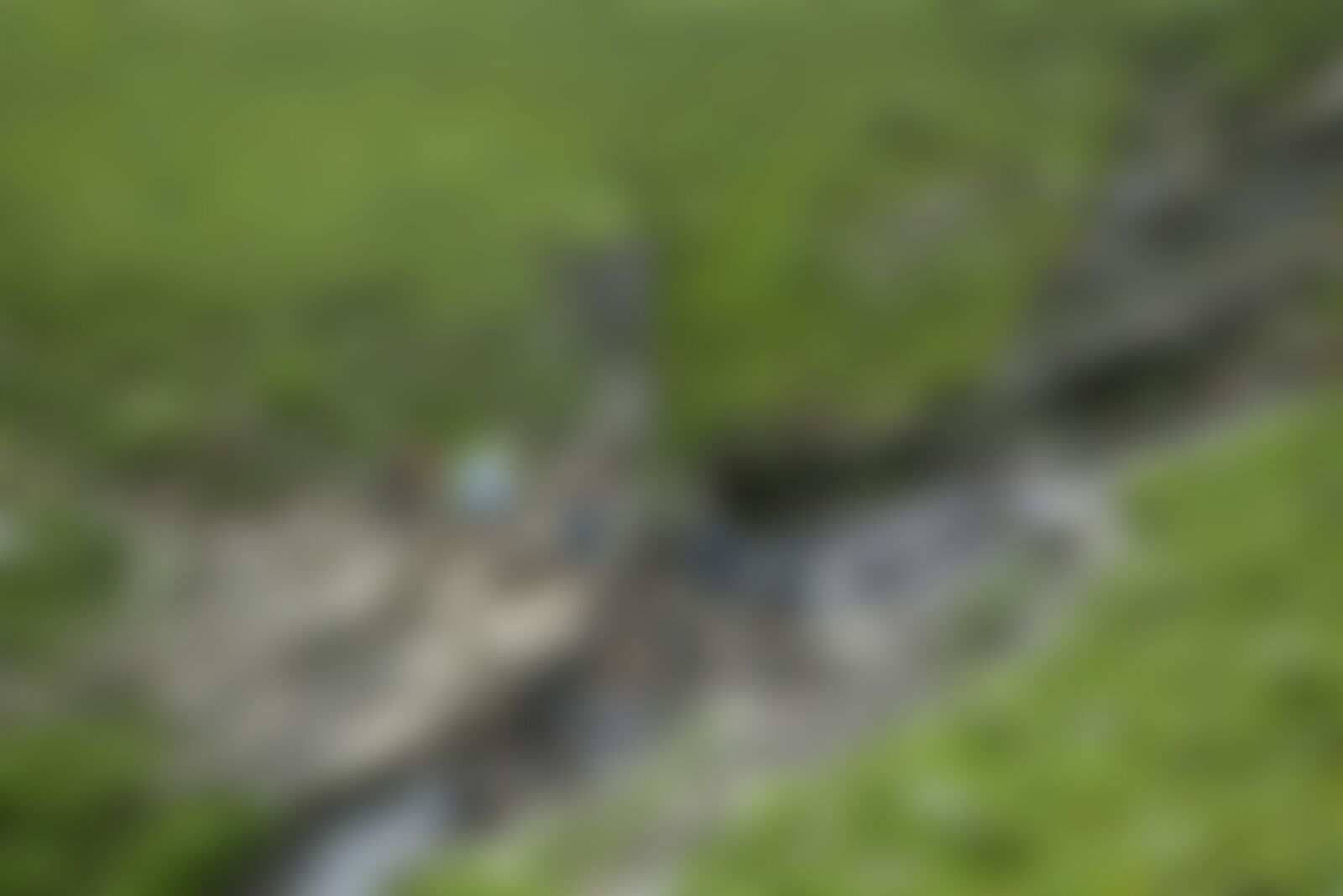 low-preview-fbab4a40 5fa9 4775 8de0 3dc81ccad0a5 bhrigu lake bl indiahikes jothiranjan trailwithtrekkers august 2021