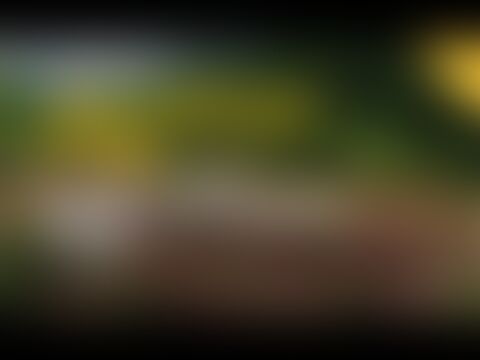 low-preview-hqdefault