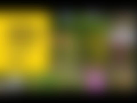 low-preview-hqdefault