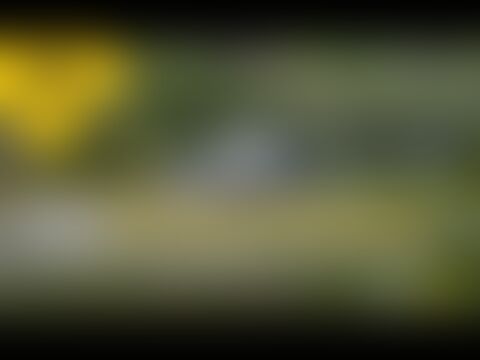 low-preview-hqdefault